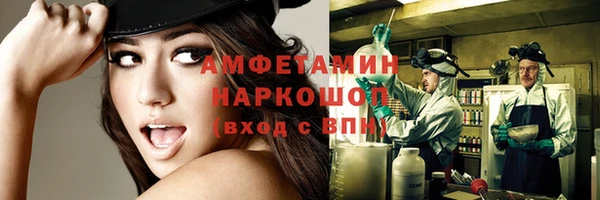 гашик Аркадак