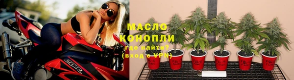 дживик Арсеньев