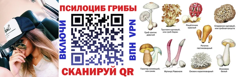 цена   Солнечногорск  Псилоцибиновые грибы Cubensis 